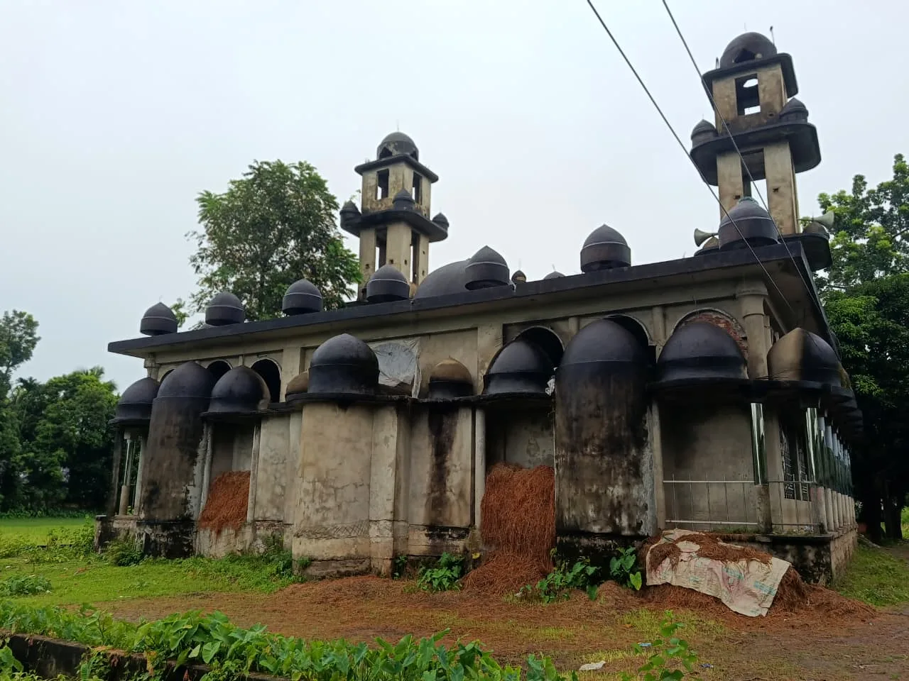 An old mosque with many small domes and a minaret, seen across a field under a cloudy sky